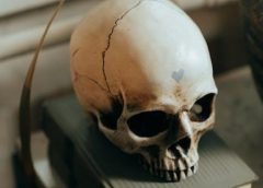 death stranding director’s cut trophy guide